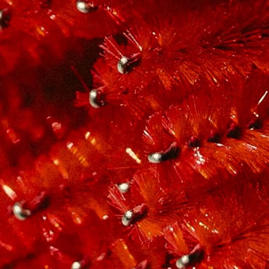 V.I.P. BEAUTY QUEEN (Tier One) at Thee Monarch Corp in Green Bay, WI